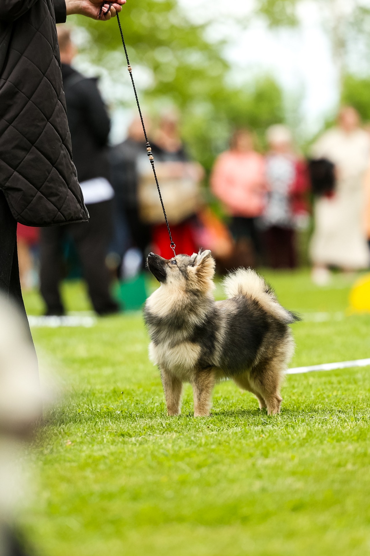 © Rita Ihalainen